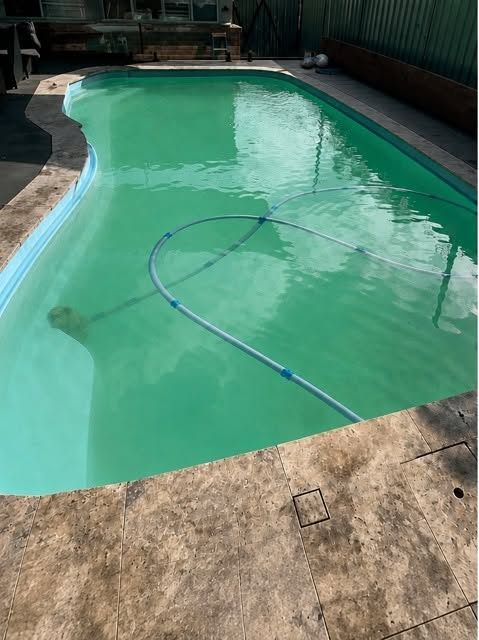 Green pool water before treatment