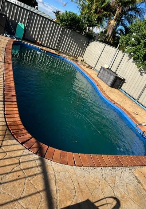 Brick-edged pool with dark green water before cleaning